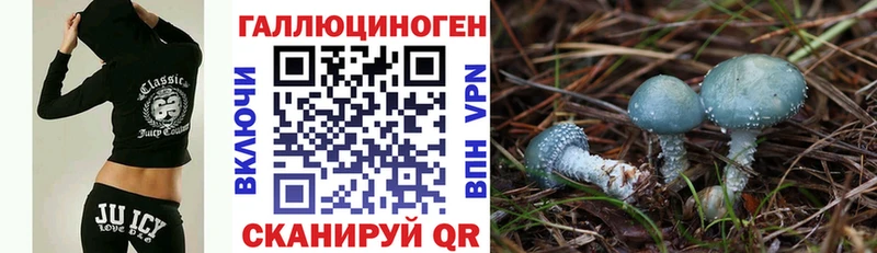 ОМГ ОМГ маркетплейс  Ивантеевка  Галлюциногенные грибы ЛСД  что такое  